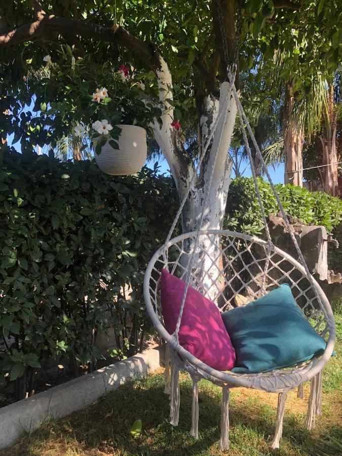 B&B Green Oasis Pompeya Exterior foto